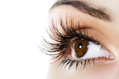 Close-up of tinted eyelashes